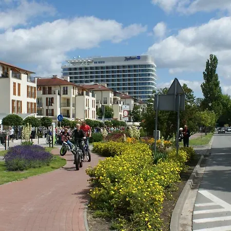 Agata 슈비노우이스쳬