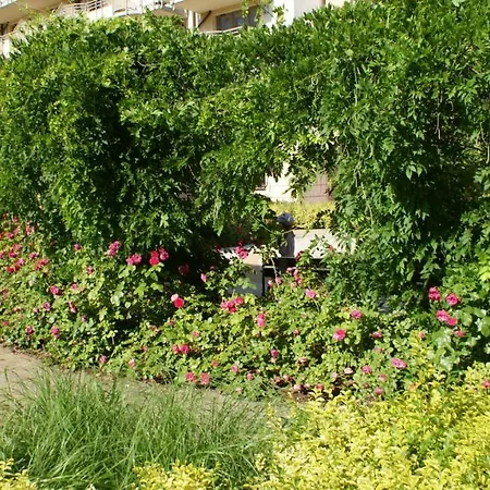 Apartament Agata